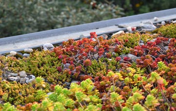 the cost of Thorpe Abbotts green roof installation