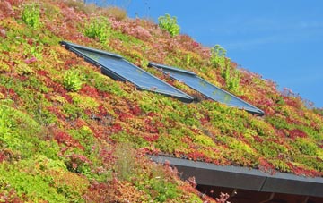 Thorpe Abbotts living roof systems