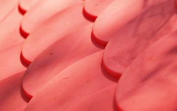 Thorpe Abbotts plastic roof costs