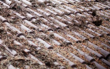 Thorpe Abbotts roof cleaning companies