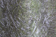 Thorpe Abbotts fibreglass roof work